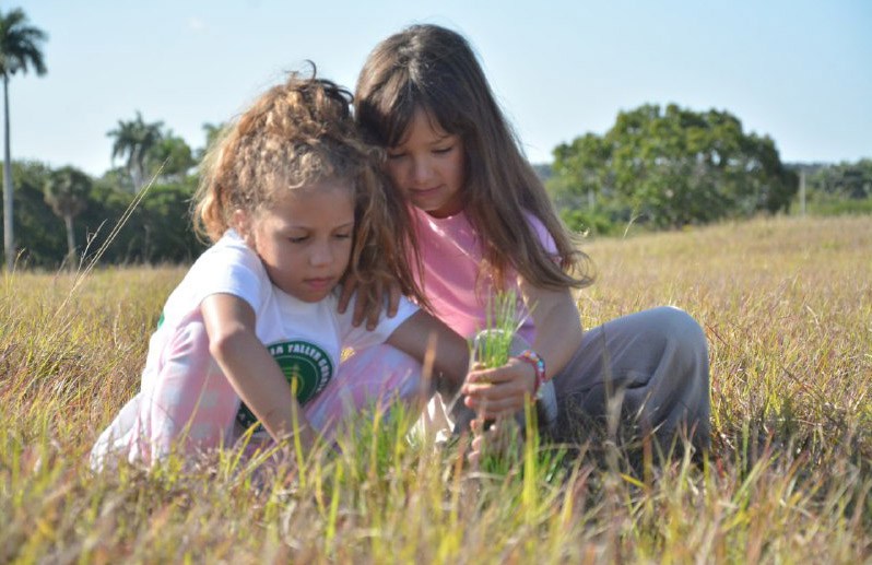 0226 concurso proteger bosques4