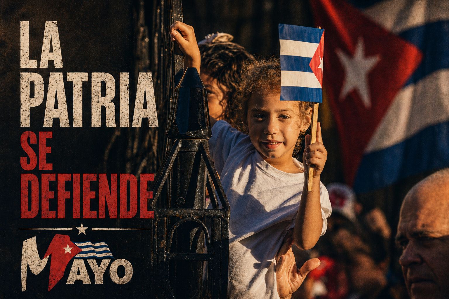cartel la patria se defiende 16.jpeg