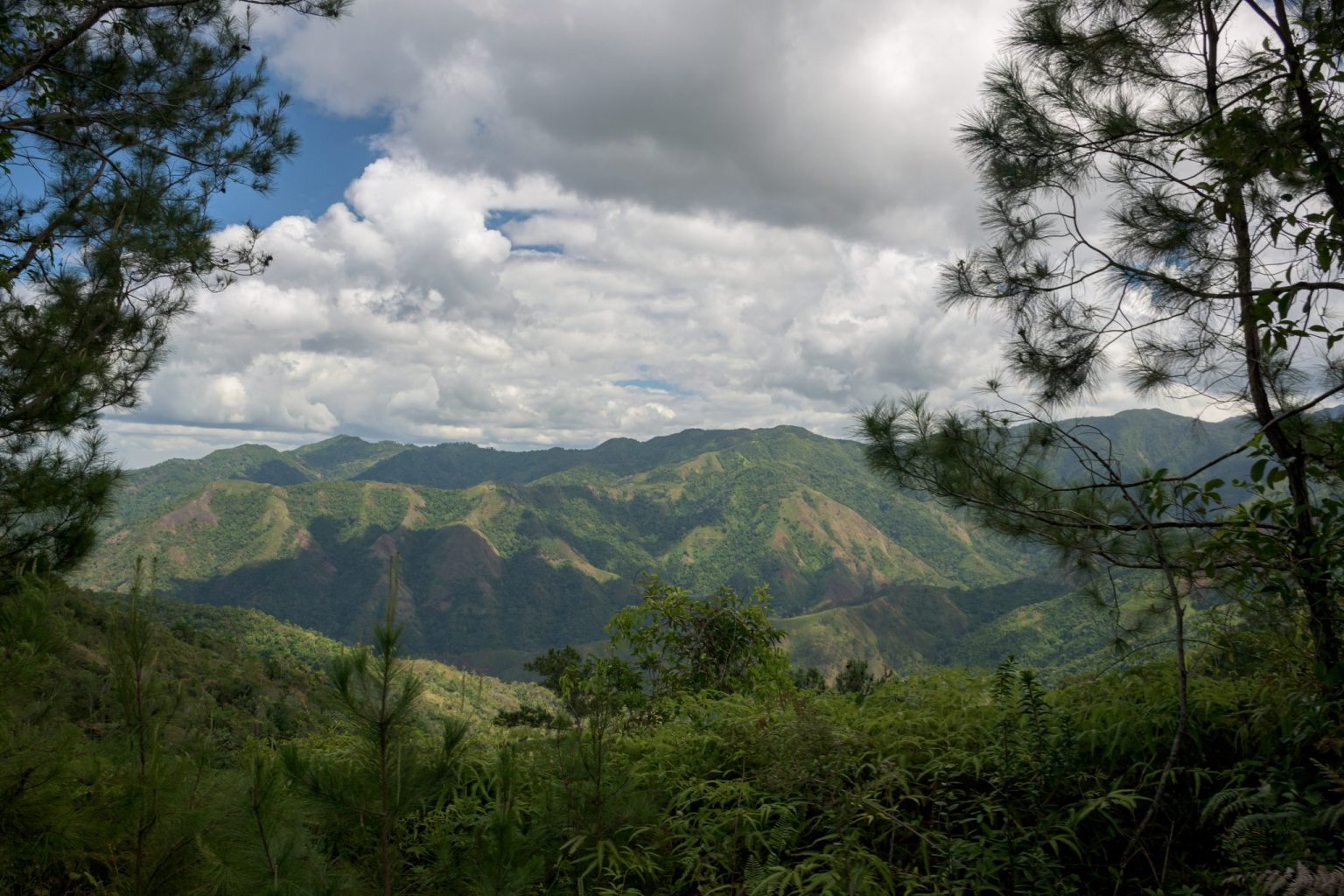 cuba medio ambiente 10 1536x1024