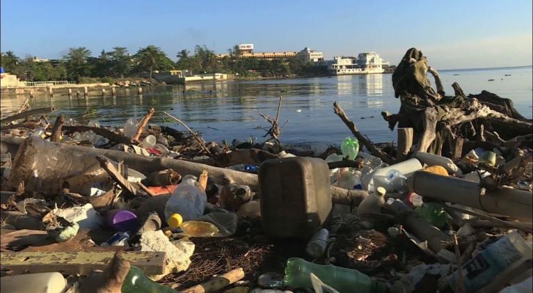 Red Verde por el planeta