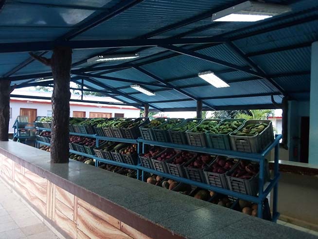 Acopio como Grupo Empresarial 