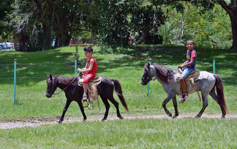 Campamentos Verano Campamentos Verano