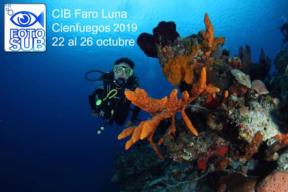 Comienza hoy Fotosub 2019 en Cienfuegos