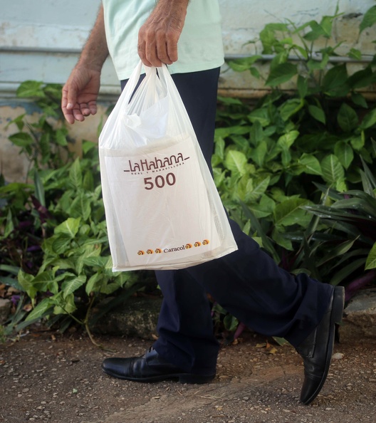 Habana aniversario 500