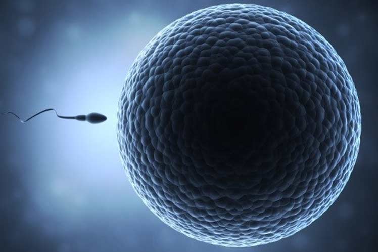 Fertilidad Fertilidad