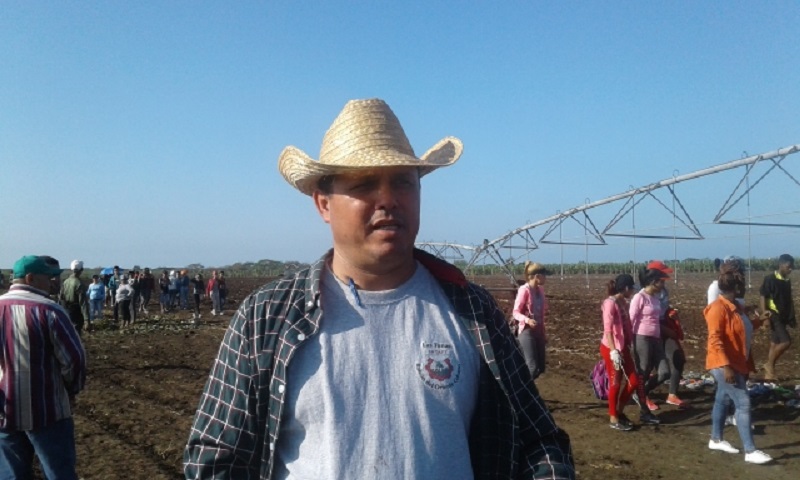 Celebran en Las Tunas Día del Trabajador Agropecuario