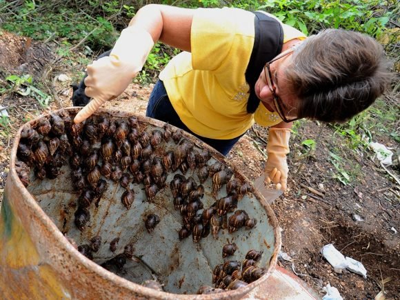 Integrantes del equipo de especialistas de sanidad Vegetal. Foto: Carlos Rafael Díaz Borges.