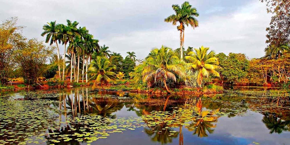 La Ciénaga de Zapata conserva importantes valores naturales
