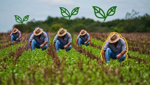 Quitar trabas para crecer: Comercialización agrícola en Cuba con nuevas medidas a partir de junio