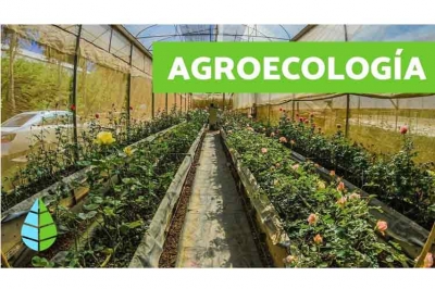 Comienza en Cuba foro mundial de agroecología 