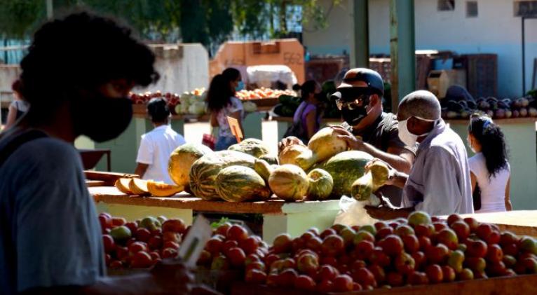 Agro habanero Agro habanero