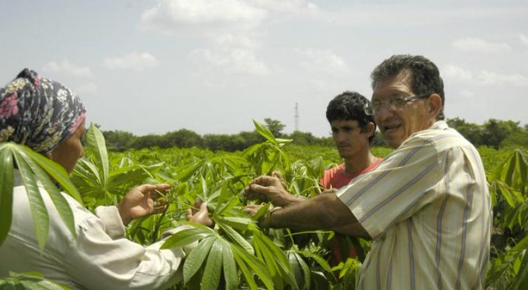 Diputado Sergio Rodríguez